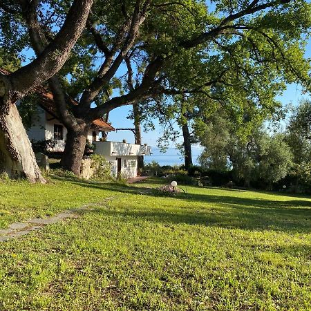 Wild Oaks Cottage Kriopigi Bagian luar foto