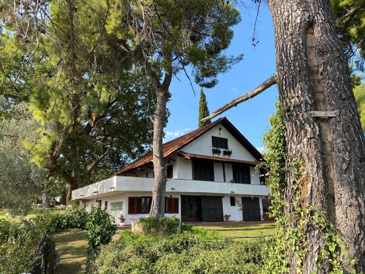 Wild Oaks Cottage Kriopigi Bagian luar foto