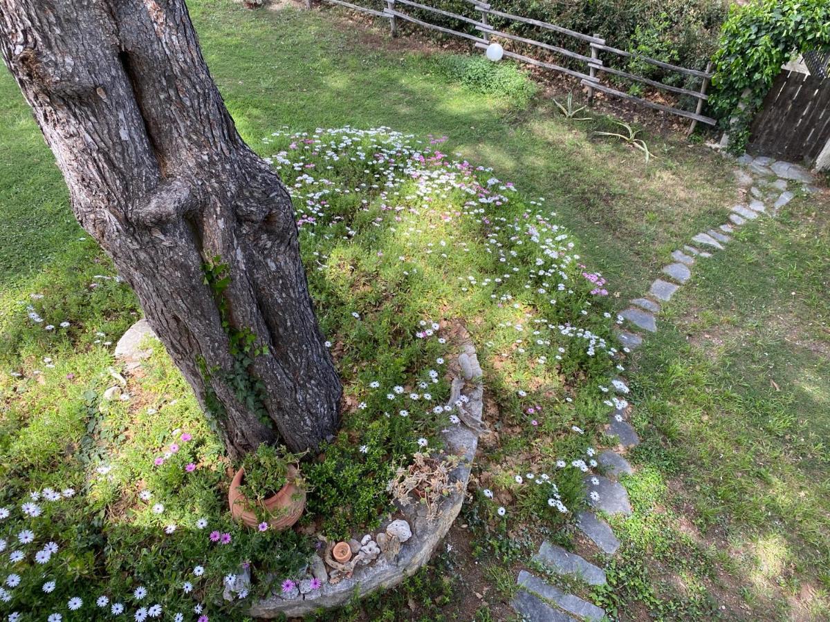 Wild Oaks Cottage Kriopigi Bagian luar foto