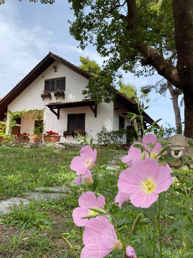 Wild Oaks Cottage Kriopigi Bagian luar foto